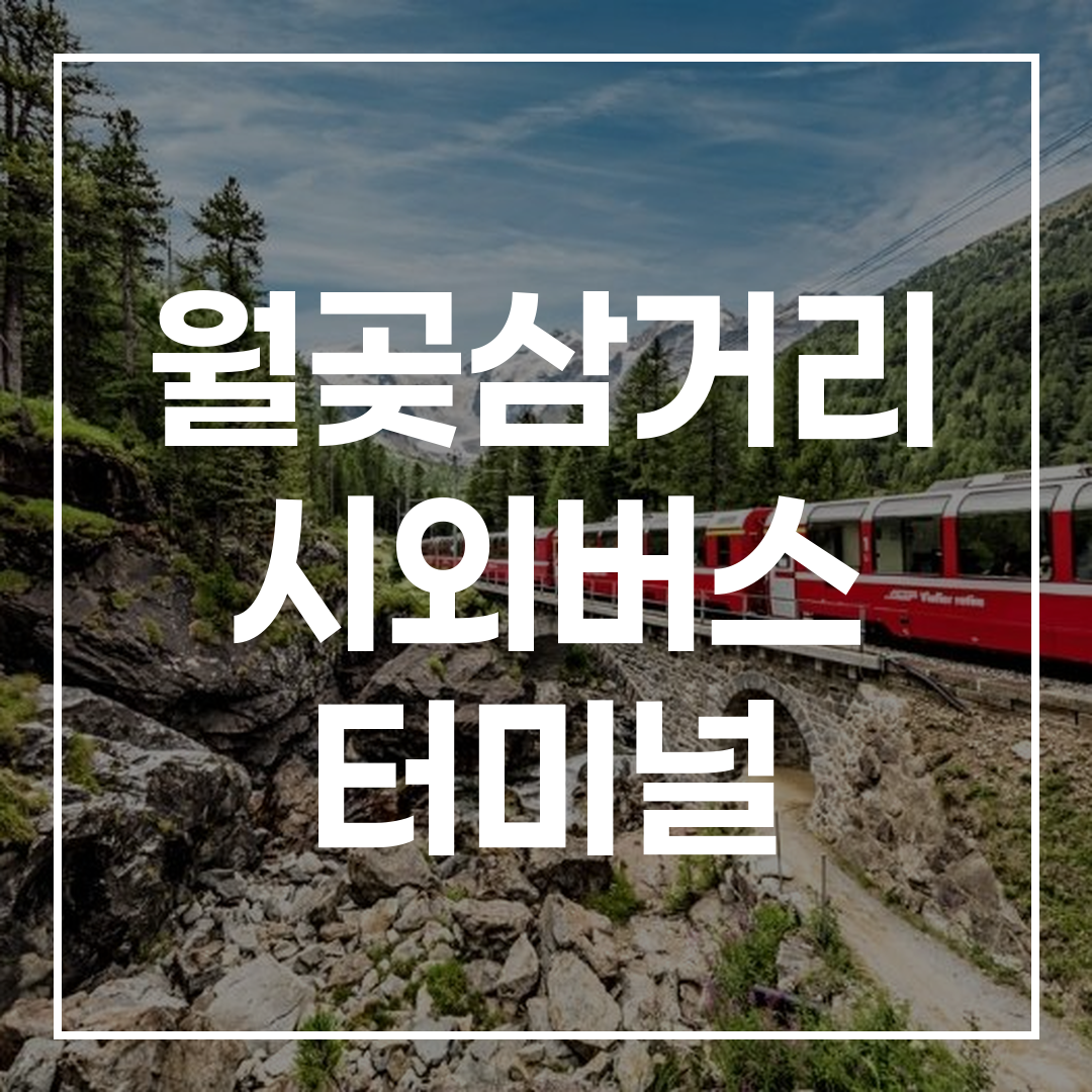 시외버스 터미널의 예매 및 시간표 정보를 보여주는 이미지