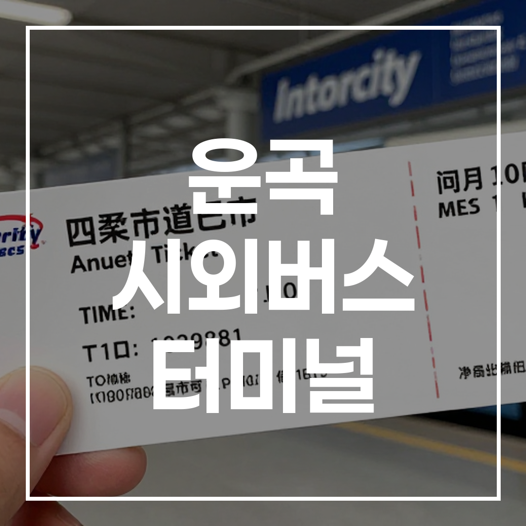 고해상도로 촬영된 시외버스 터미널 매표소 이미지, 승객들이 줄 서서 티켓을 구매하는 모습