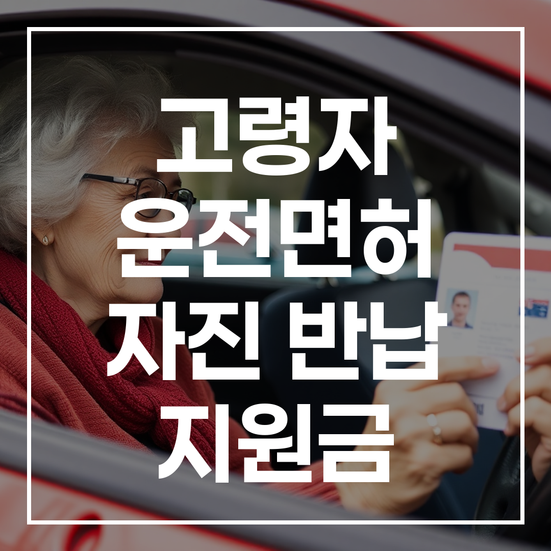 고령자 운전면허 자진 반납 지원금 안내 썸네일