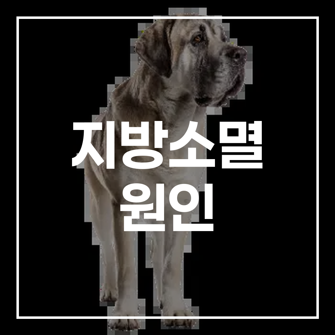 지방소멸대응기금의 개념과 목적을 설명하는 썸네일 이미지