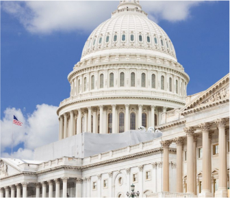 노트북으로 온라인 강의를 들으며 공부하는 여성