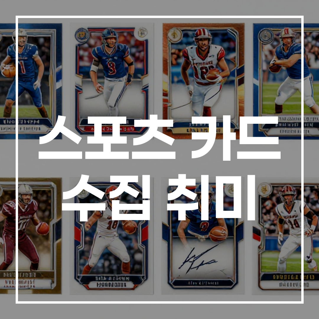 스포츠 카드 수집 취미 가이드 썸네일