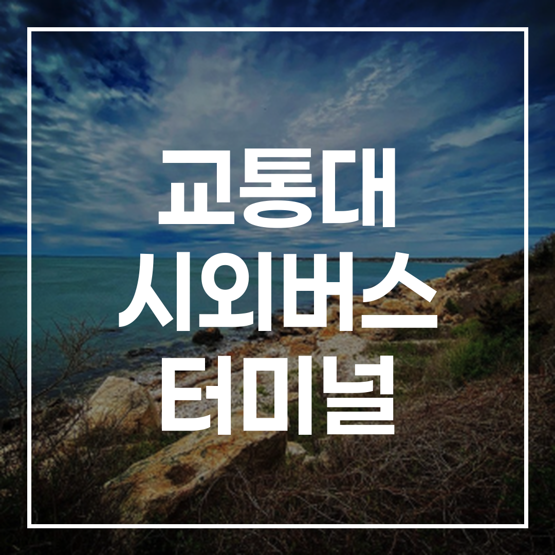 인터시티 버스 터미널 예약 정보와 일정, 인근 식당 및 주차 정보가 포함된 이미지
