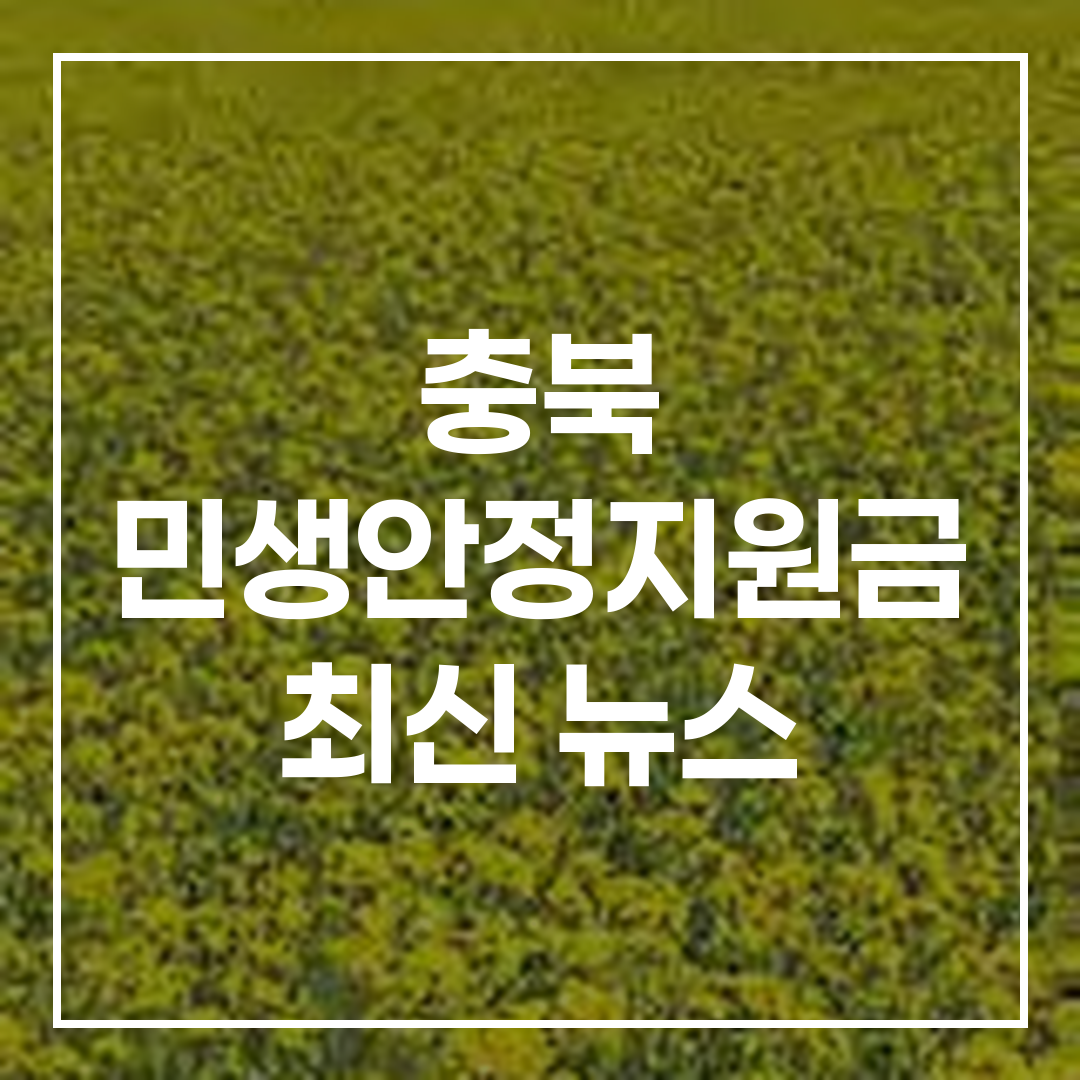 2026년 충북 민생안정지원금 썸네일