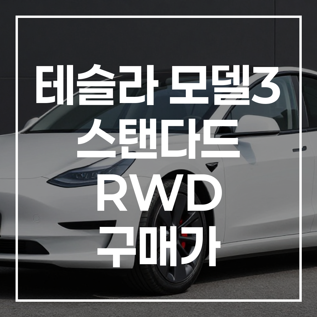 테슬라 모델 3 스탠다드 RWD 자동차의 고해상도 외관 사진