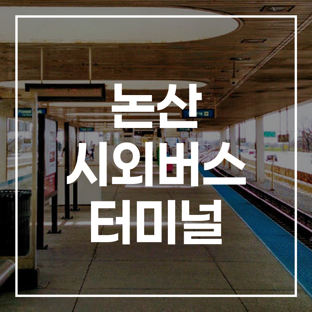 시외버스 터미널의 예약 및 시간표와 주변 맛집과 주차장 안내를 보여주는 이미지