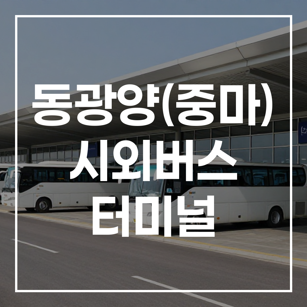 여러 대의 버스와 승객들이 있는 시외버스 터미널의 외부 전경