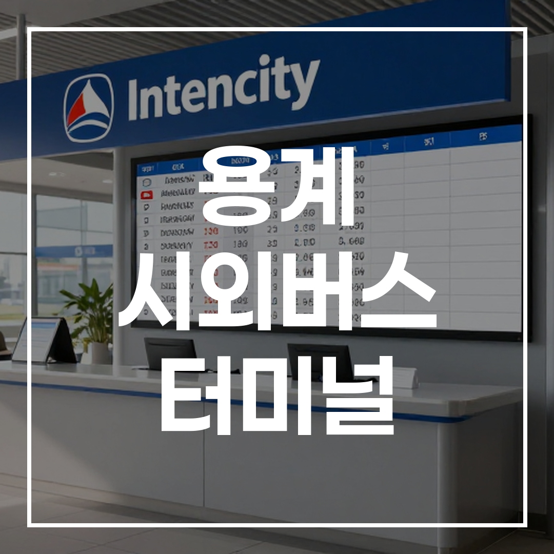 시외버스 터미널 내 시외버스 시간표와 예약 카운터 모습