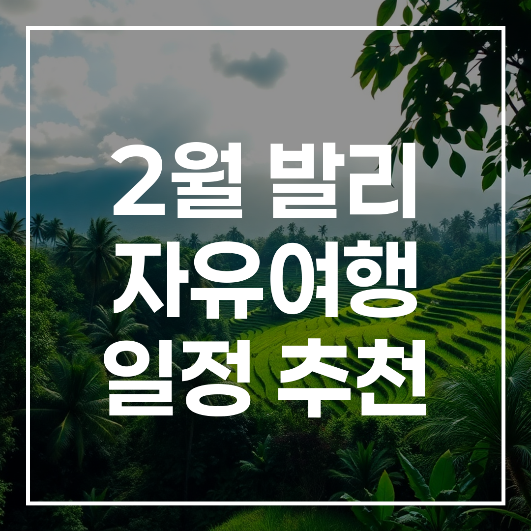 비가 온 후 빛나는 발리의 초록빛 정글과 논 풍경