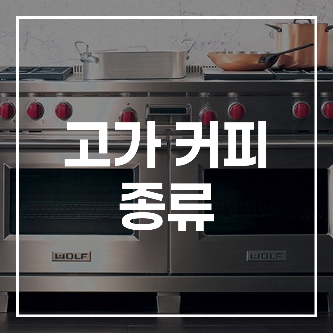 고가 커피 종류 완벽 가이드 썸네일