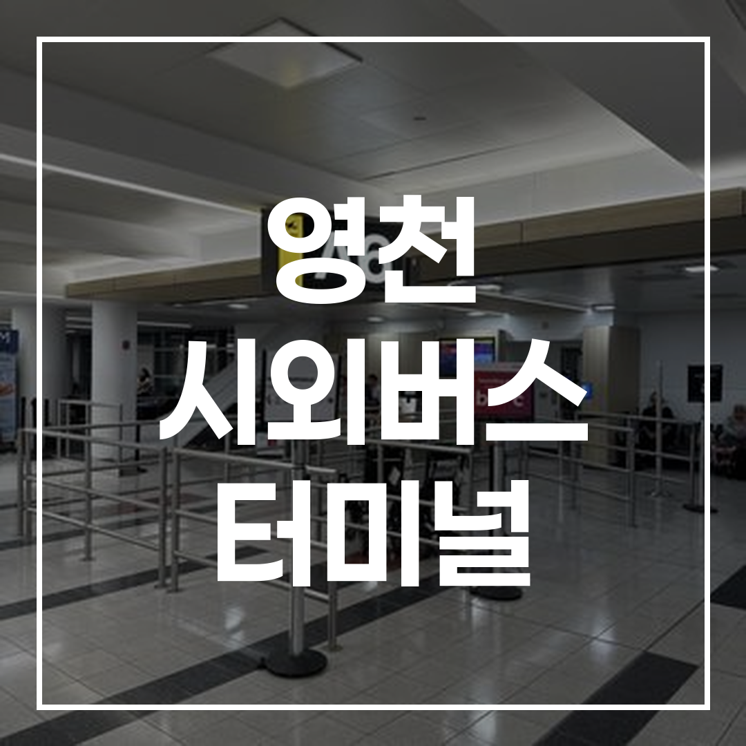 시외버스 터미널 예매 인터페이스의 고해상도 이미지, 예매 창과 예약 버튼이 잘 보이는 화면