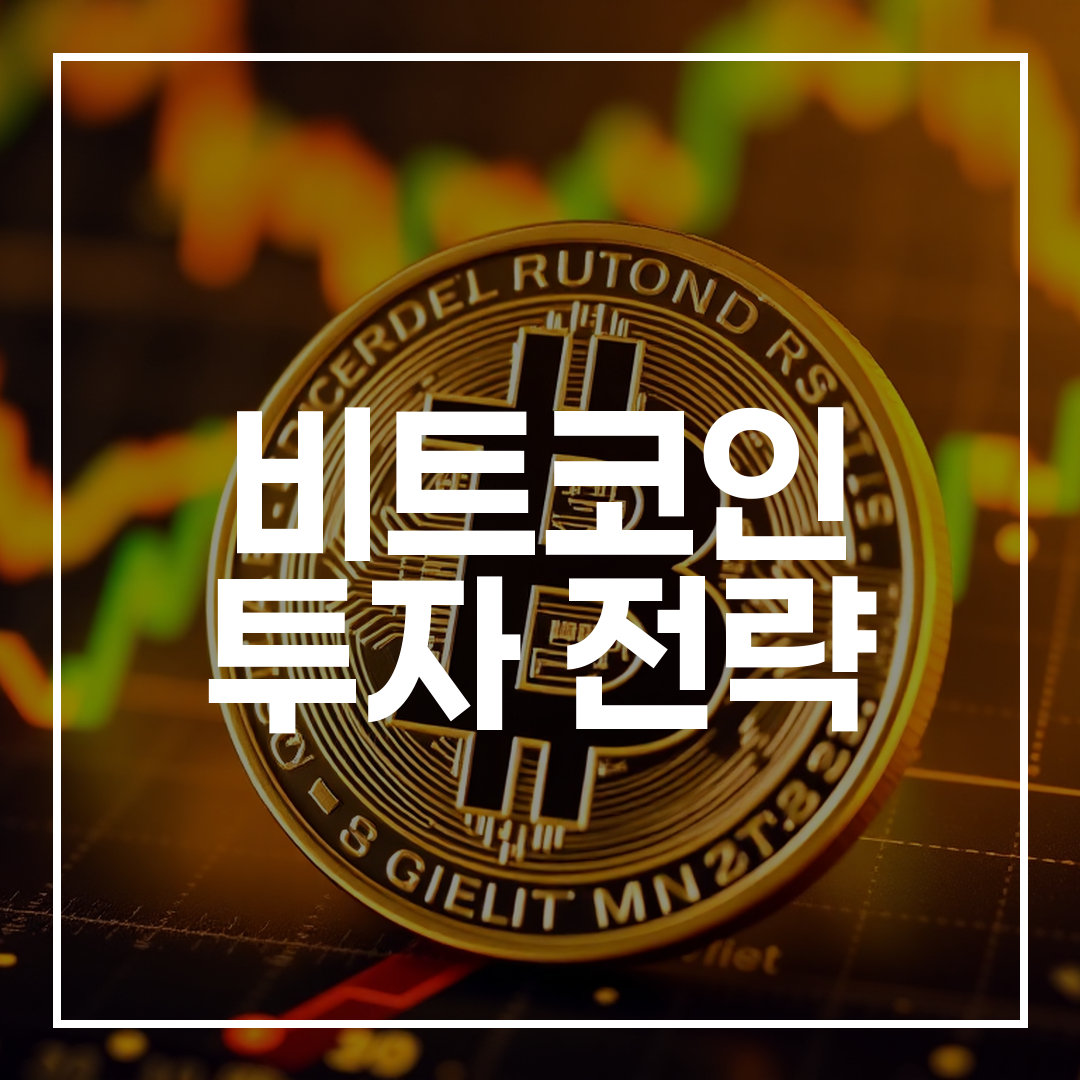 비트코인의 디지털 금과 위험 자산 양면성 시각화 이미지