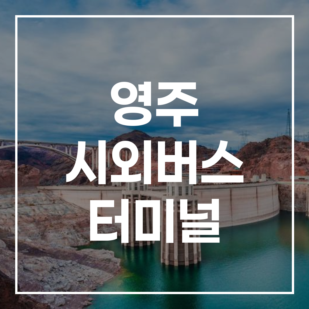 인터시티 버스 터미널의 예약과 버스 시간표, 인근 식당 및 주차 정보