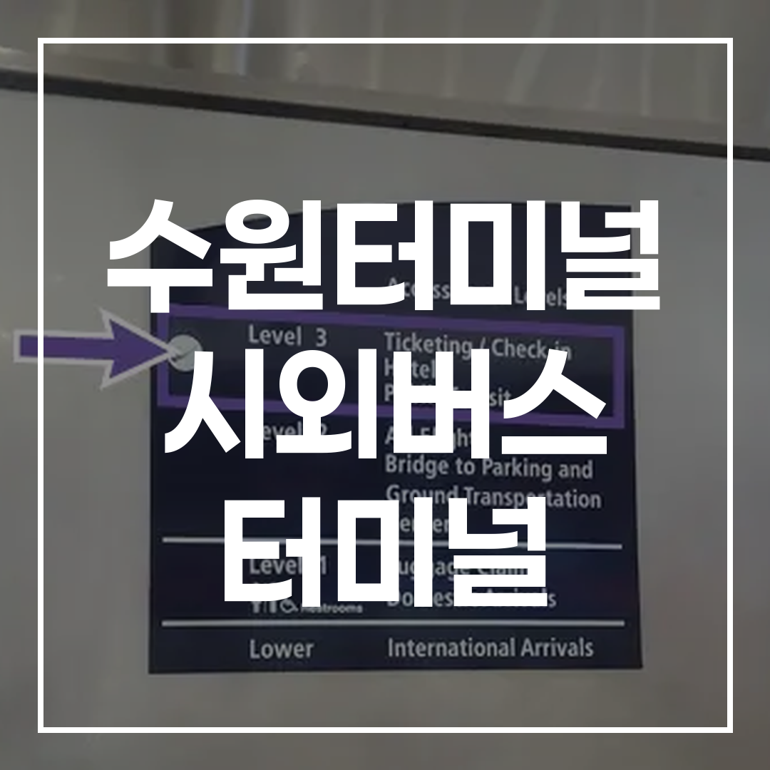 시외버스 터미널에서 예약과 시간표, 주변 시설, 맛집, 주차장 정보를 나타내는 이미지