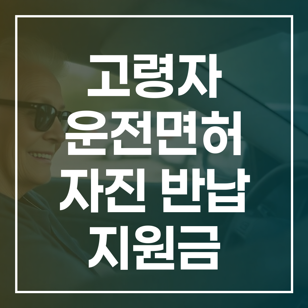 2026년 고령자 운전면허 자진 반납 지원금 혜택 총정리 썸네일