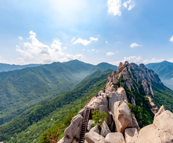 설 연휴 KTX 예매 준비물과 주의사항을 정리한 이미지