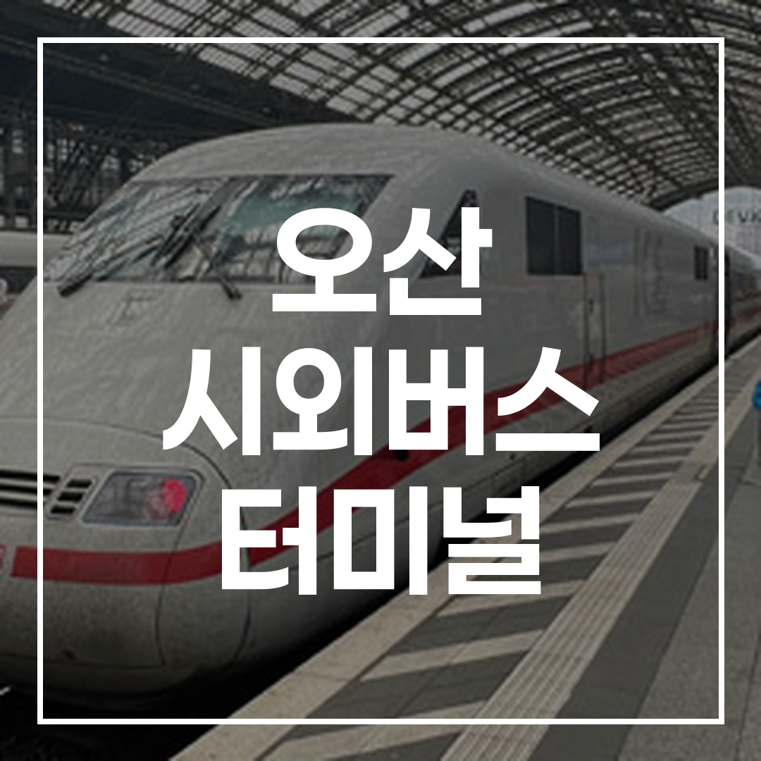 시외버스 터미널 예약 및 시간표 안내 화면 이미지