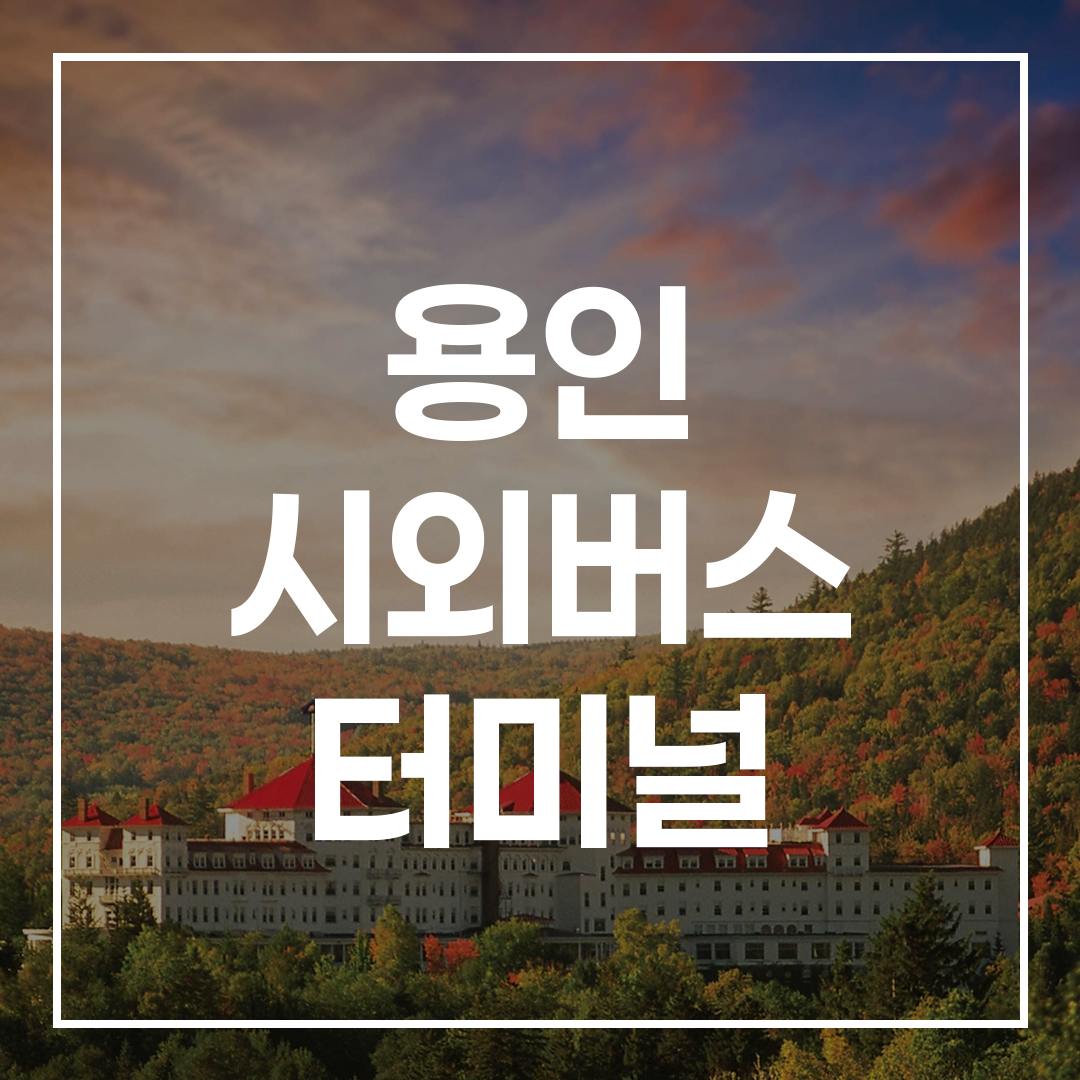 인터시티 버스 터미널 내 티켓 발급 기계의 고해상도 이미지
