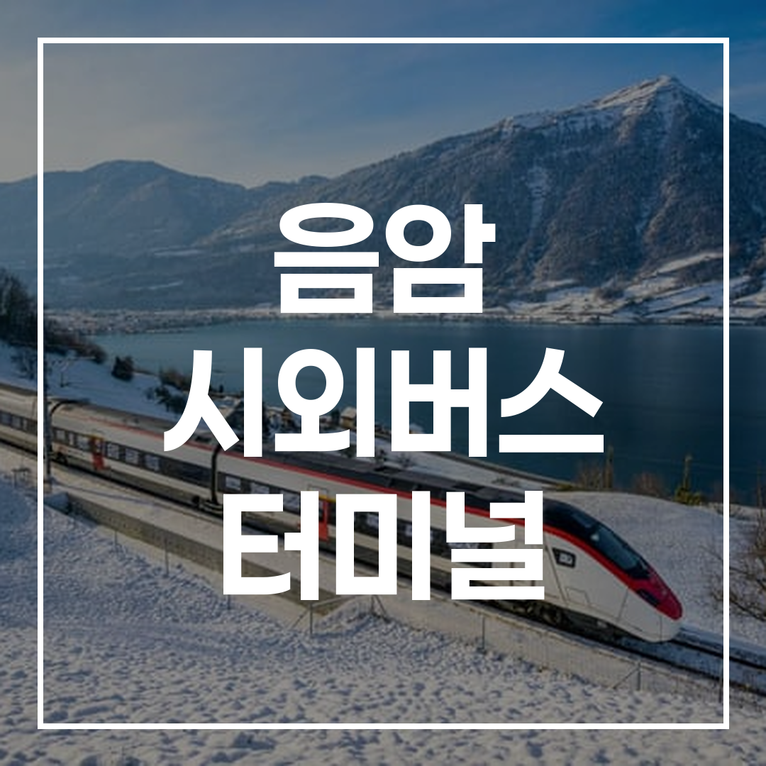 시외버스터미널 외관과 예약 시스템이 보이는 고해상도 이미지