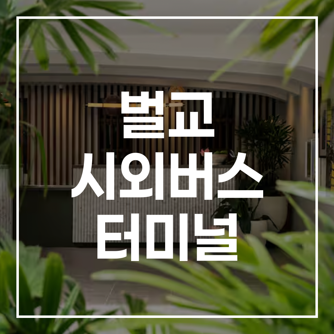 스마트폰으로 본 한국 시외버스 예매 시스템 화면, 예약 메뉴가 보임