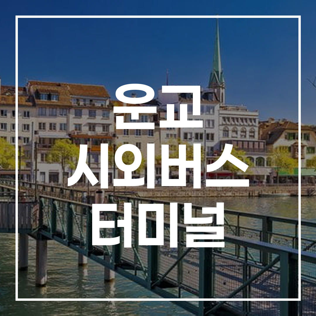 시외버스 터미널 예매 창구와 시간표가 보이는 내부 카운터 모습