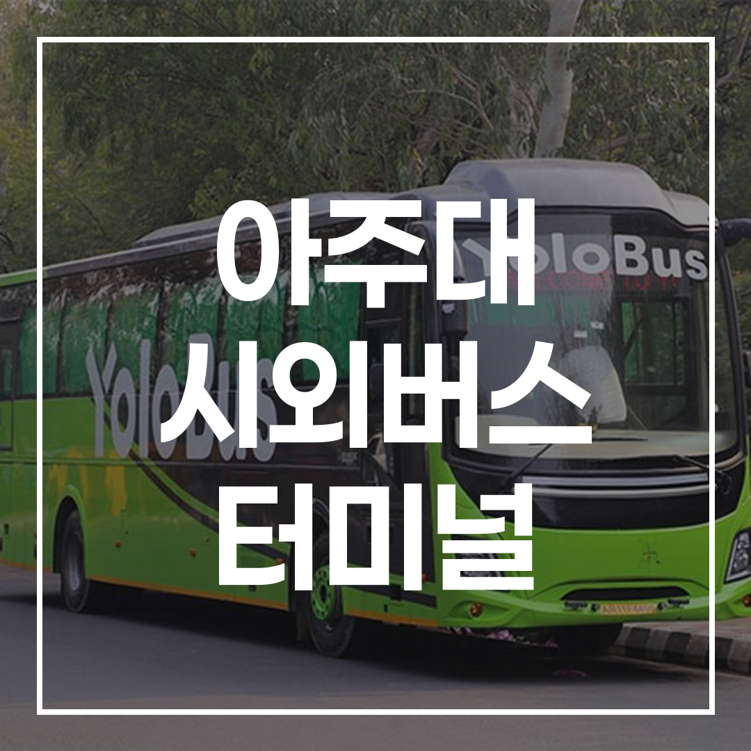 고해상도의 인터시티 버스 예약 및 시간표 이미지