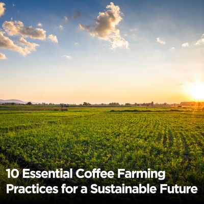 민생안정지원금 신청 방법을 안내하는 이미지