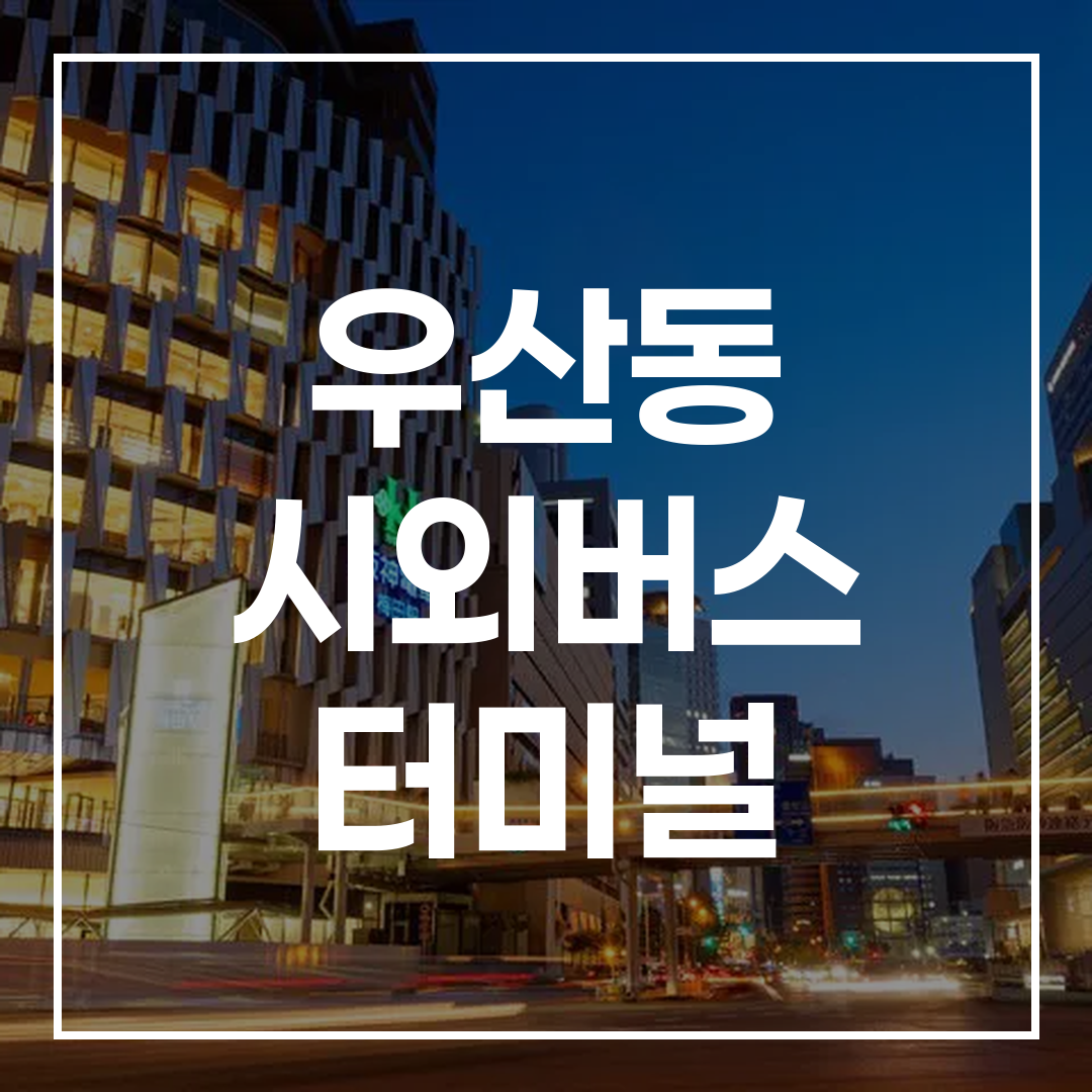 한국 시외버스 터미널의 현대적인 외관과 예약 창구 모습