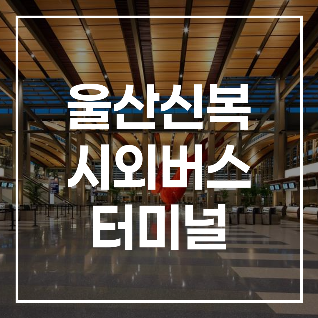 시외버스 터미널 주변 맛집 및 예매 시간표를 보여주는 전경 이미지