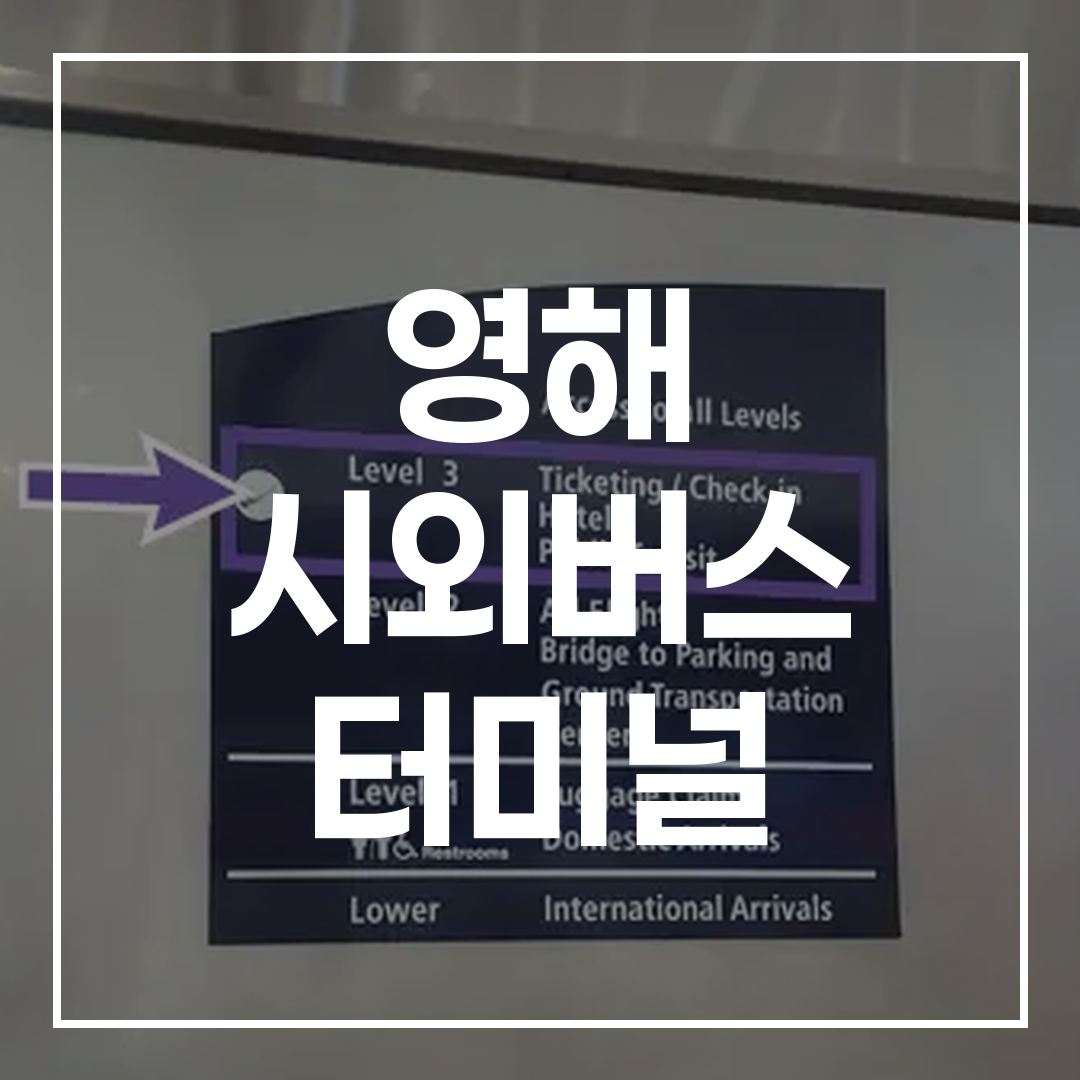 인터시티 버스 터미널 예약 시스템과 관련된 고해상도 이미지