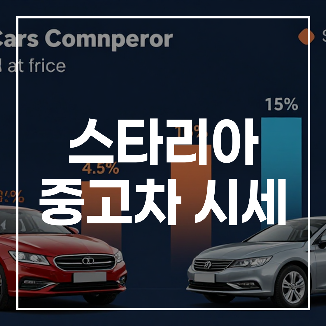 Staria 자동차 중고 가격 비교 인포그래픽 이미지