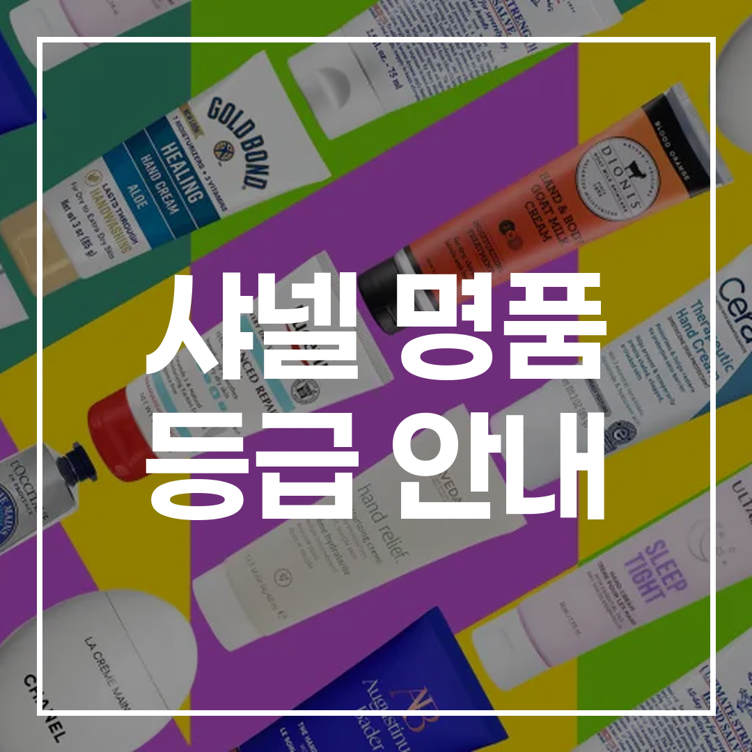 샤넬 루이비통 구찌 명품 등급 비교 썸네일