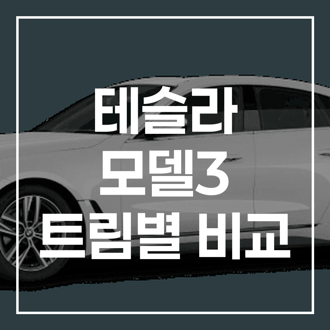 테슬라 모델 3의 다양한 트림을 비교한 고해상도 외관 이미지