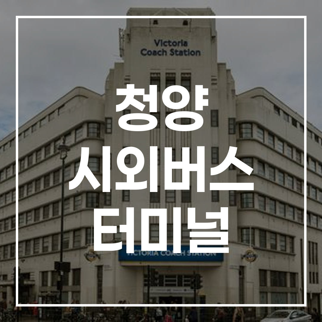 시외버스 터미널의 예매 및 시간표 정보를 보여주는 이미지