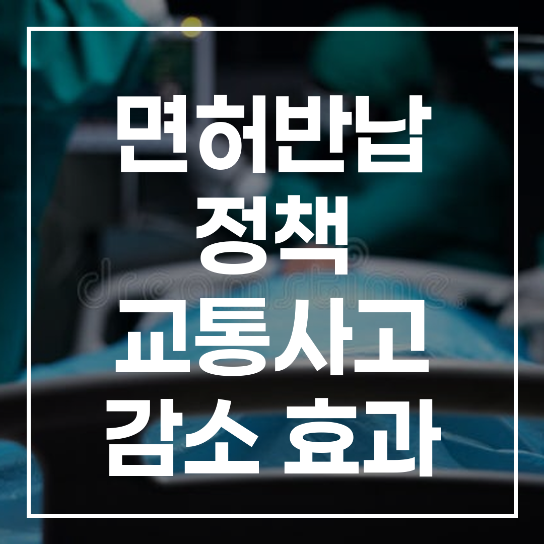 면허반납 정책 교통사고 감소 효과 분석 블로그 썸네일