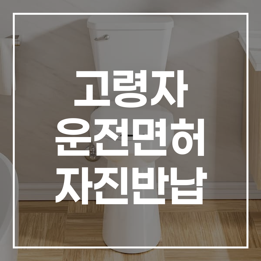 고령자 운전면허 자진반납 혜택과 절차를 요약한 블로그 썸네일 이미지