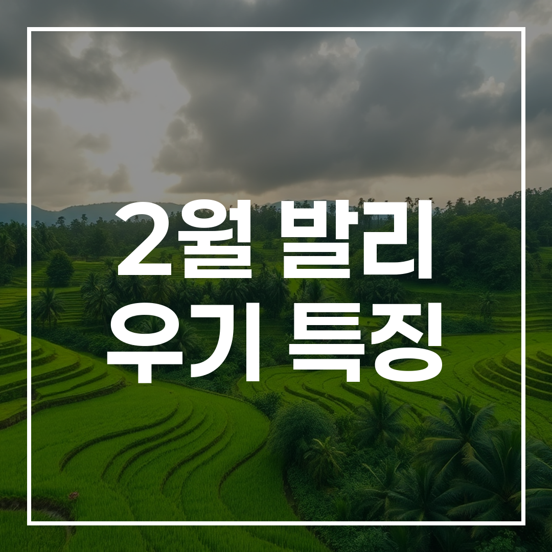 비가 내렸다 맑게 갠 발리의 우기 시즌의 열대 풍경, 푸른 논과 숲이 돋보이는 모습