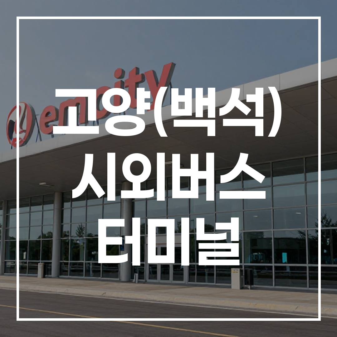 낮에 촬영된 인터시티 버스 터미널 건물 외관의 모습