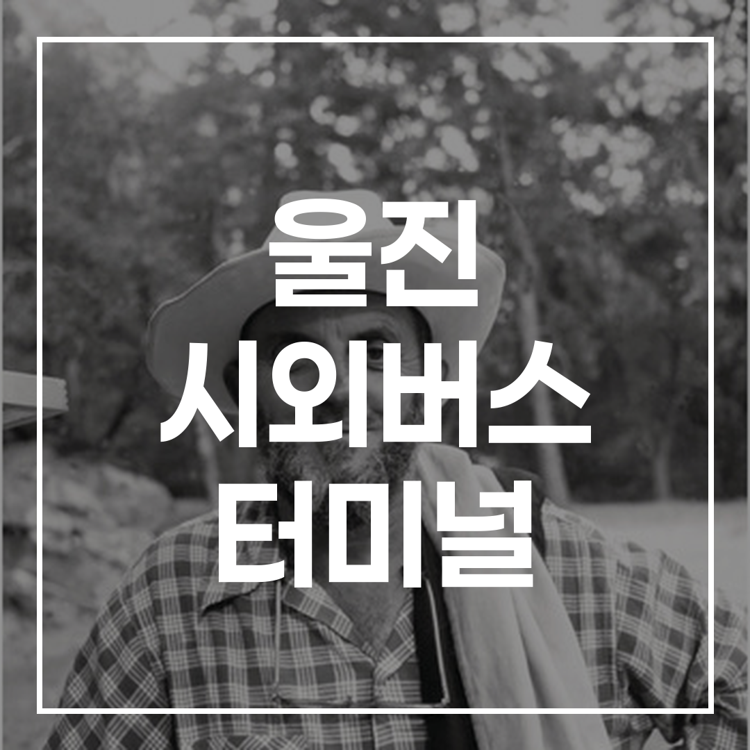 인터시티 버스 터미널의 예약 및 시간표와 터미널 내 인근 시설, 식당, 주차장 정보를 보여주는 이미지