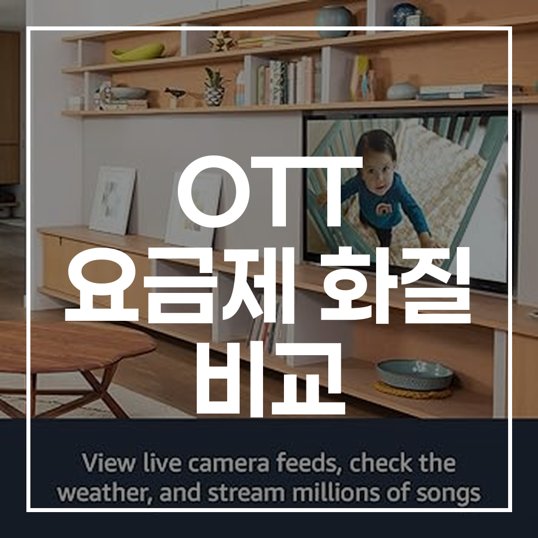 2026년 최고의 OTT 선택 가이드 썸네일