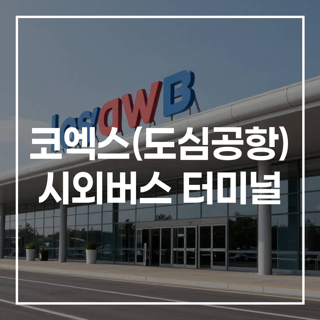 국제 버스 터미널 외부 전경, 현대적 건물과 버스 정류장 모습