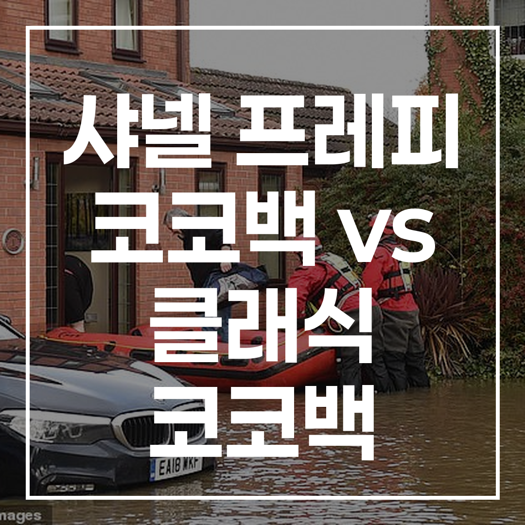 샤넬 프레피 코코백 썸네일