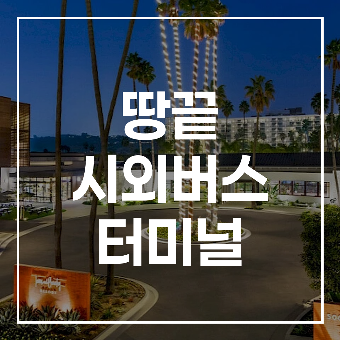 시외버스 터미널 예매 창구가 보이는 터미널 외부 전경 모습