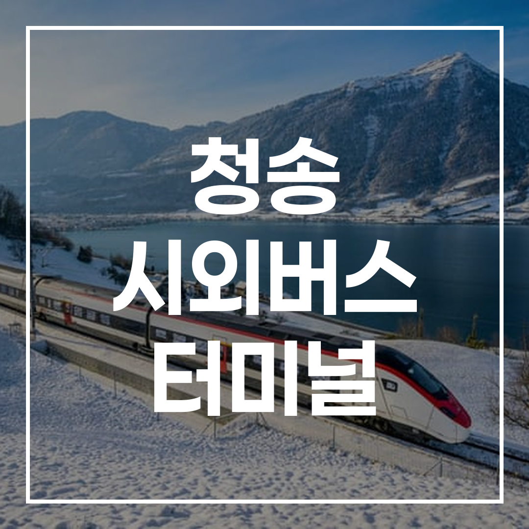인터시티 버스 온라인 티켓 예약 시스템 화면과 예매 페이지