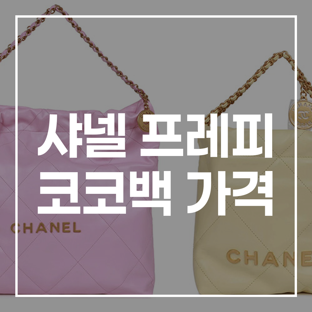 샤넬 프레피 코코백을 주제로 한 블로그 글의 썸네일 이미지