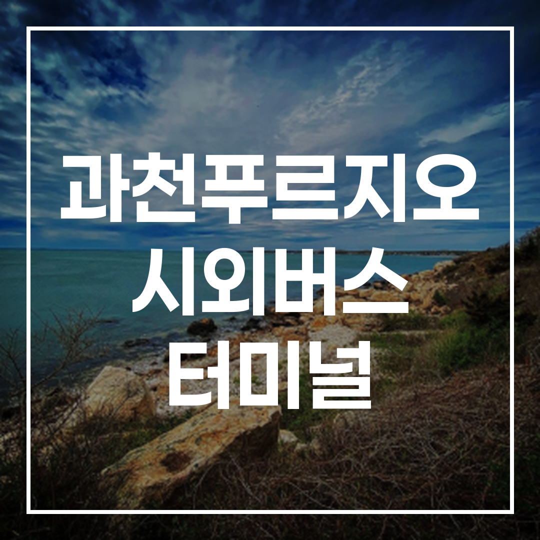 시외버스 터미널 예약, 시간표, 주변 맛집과 주차장 정보를 보여주는 이미지