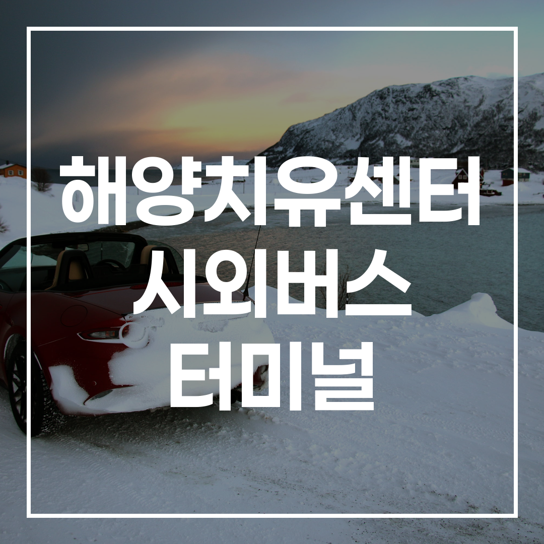 한국 시외버스 터미널 외관과 예매 시간표 이미지