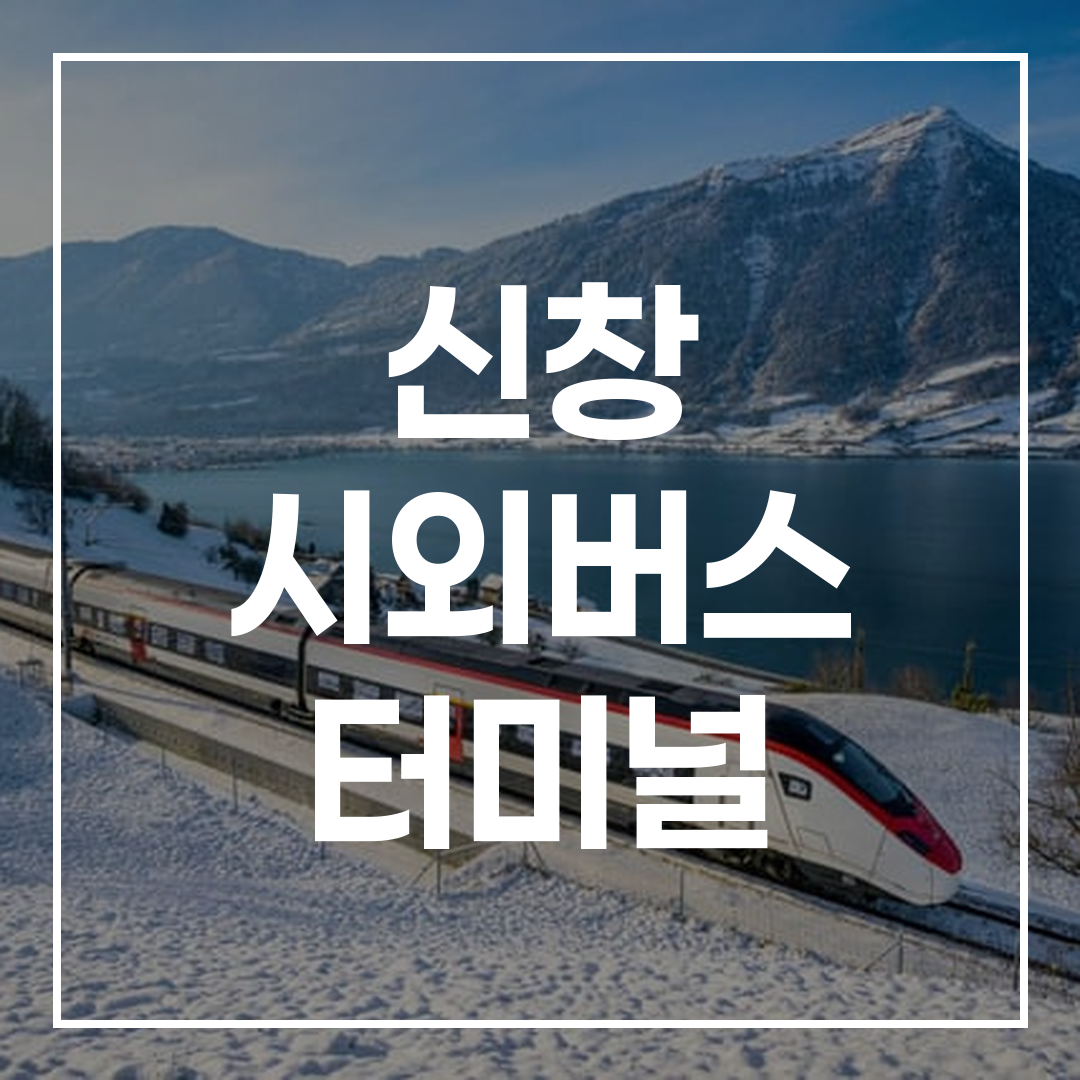 시외버스 터미널에서 빠르게 예약하는 인터시티 버스 예약 화면과 터미널 이미지