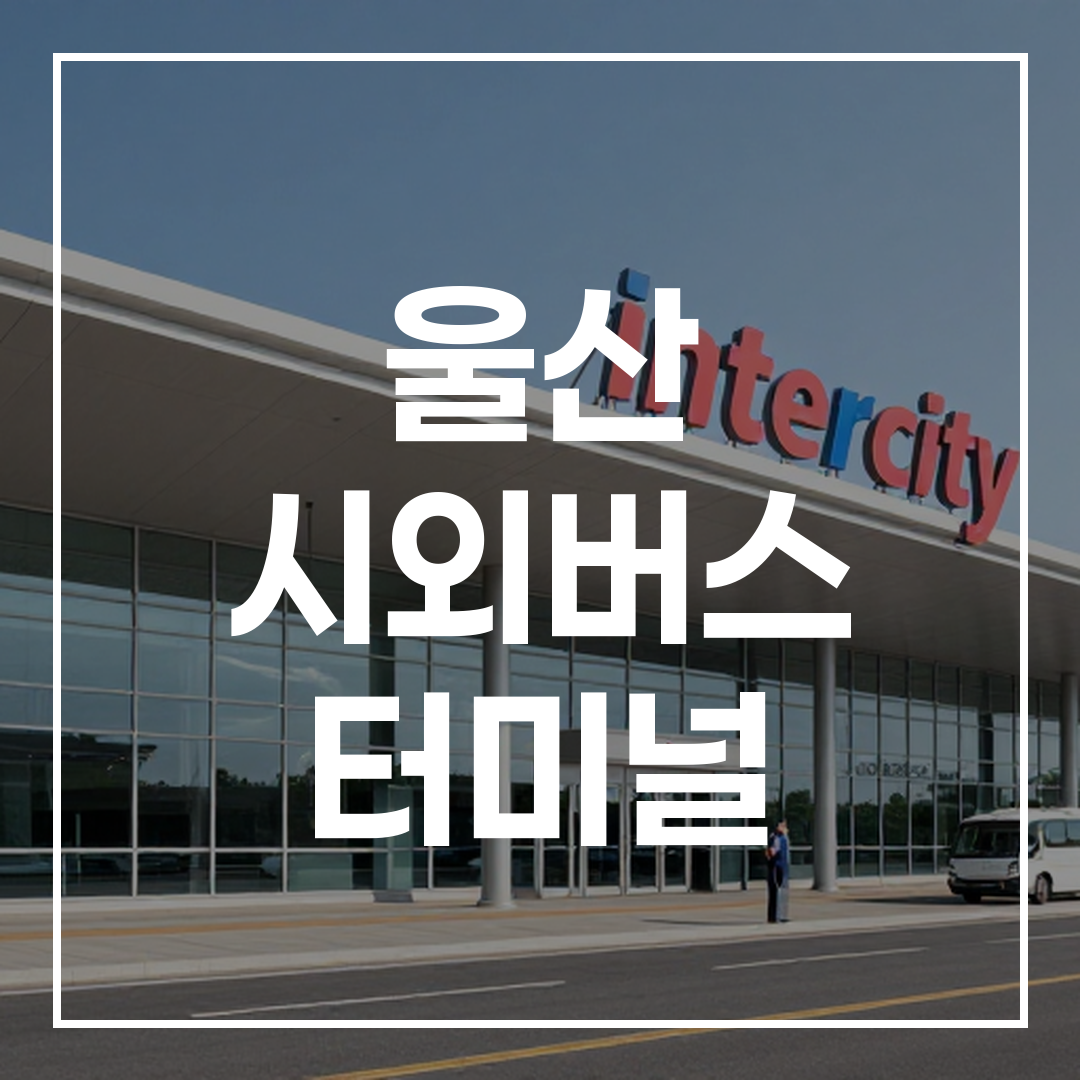시외버스 터미널 외부 건물 전경 모습